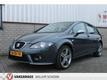 Seat Leon 2.0 TFSI FR HAGELSCHADE