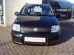 Fiat Panda 1.2 70Pk ACTIVE