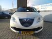 Lancia Ypsilon 0.9 TwinAir Platinum Panodak! Xenon! Leer! Navi! PDC! 16`Inch! Hi-Fi! 1ste Eigenaar!