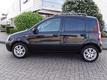 Fiat Panda 1.2 EMOTION CLIMATE CONTROL   -LM.WIELEN   D-RIEM VERVANGEN