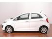 Kia Picanto 1.2 CVVT 85PK EXECUTIVELINE * AUTOMAAT * CLIMA * NAVI *