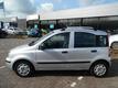 Fiat Panda 1.2 ACTIVE | Rijklaar