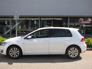 Volkswagen Golf 1.0 TSI BUSINESS EDITION CONNECTED 5-DRS. AUTOMAAT