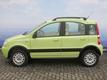 Fiat Panda 1.2 CLIMBING 4X4   Nieuwe APK 77000 KM!