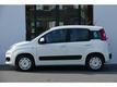 Fiat Panda 0.9 TWINAIR EDIZIONE COOL **2DE PINKSTERDAG GEOPEND**