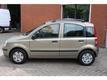 Fiat Panda 1.2 Dynamic Automaat