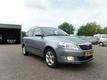 Skoda Fabia Combi 1.2 TDI Greenline 2011 optie`s