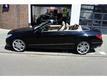 Mercedes-Benz E-klasse Cabrio 500 ELEGANCE   AMG PARKET VOLOPTIES