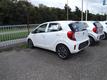 Kia Picanto 1.0 First Edition NIEUW EN RIJKLAAR!