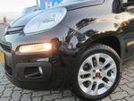 Fiat Panda 0.9 TWINAIR LOUNGE `AUTOMAAT` AC LMV MIST.LAMP 48.000KM!