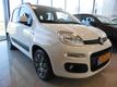 Fiat Panda 0.9 TwinAir Sempre -FAKKERT-ZWAAG