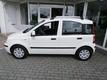 Fiat Panda 1.2 69pk Edizione Cool