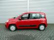 Fiat Panda 0.9 TwinAir Ed. Cool -RIJKLAAR