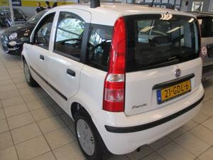 Fiat Panda edizione cool